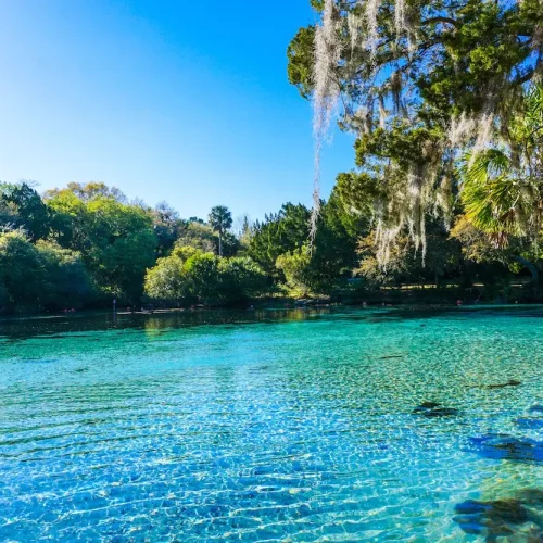 Ocala National Forest